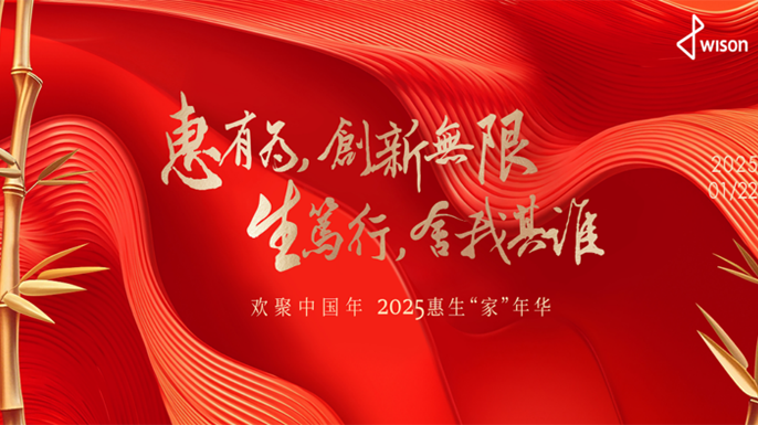 Wison 2025 Family Carnival  Highlight Recap